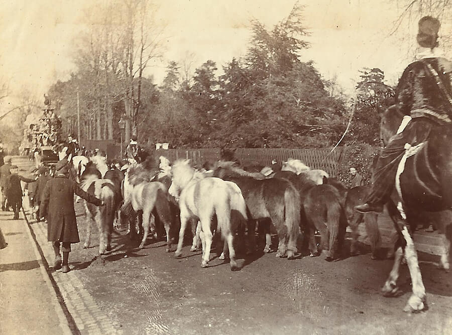 Circus procession along Blakebrook, Kidderminster