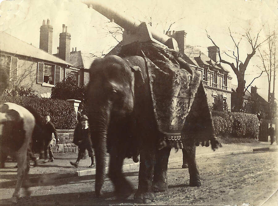 Circus procession along Blakebrook, Kidderminster