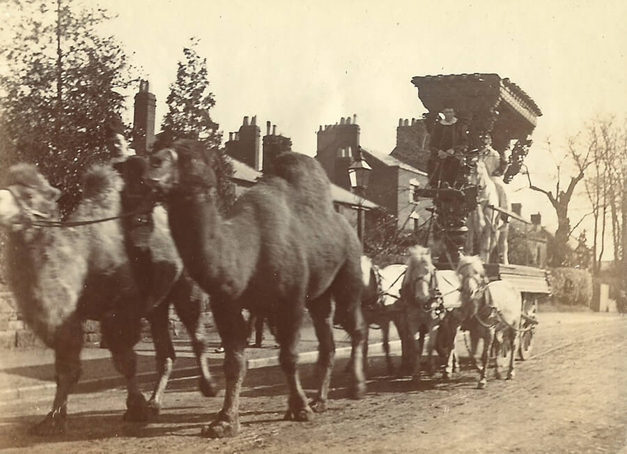 Circus procession along Blakebrook, Kidderminster